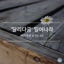 달리다굼 이미지