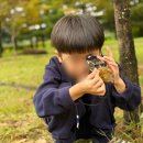 숲아이유치원 이미지