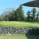 제주호시담 이미지