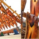 사시사철-풍요 이미지