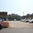 돈백꽃본점