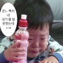 부동선 | 부동선 알바 중도 포기 후기