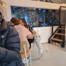 퍼피펍피 이미지