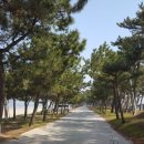 동호펜션 이미지