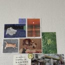 세븐일레븐 정동진해변점 이미지