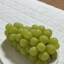 이수영피자 이미지