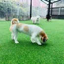 멍스토리 이미지