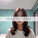 핑클 헤어샵 | [울산] 펌 잘하는 곳 : 삼산동 일인 헤어샵 동백살롱(레이어드 / 빌드펌)