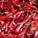 빨간고추 이미지