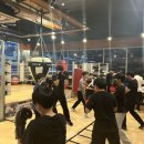 NOBLE Boxing 이미지