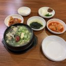 맛골해장국 - 원주시 | 맛골해장국