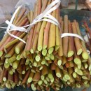 장미네농장 이미지