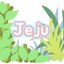 메종드롸루코 이미지