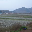 두일정비 이미지