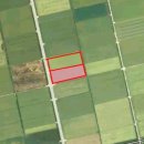 장신농장 이미지