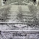 비비모터스 이미지