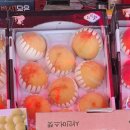 충주청과 이미지