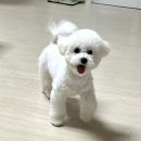 순독살롱 이미지