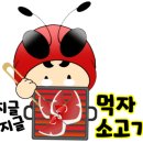 2023-0009 이미지