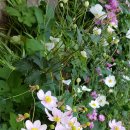 은주농장 이미지