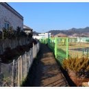 봉평동사무소 이미지