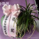 다솜화원