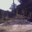 소금밭 교차로 4 이미지