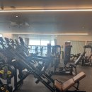 번영로234번길 | 아산헬스장 추천｜백민호 트레이너 1:1 PT 후기, 더킹짐&amp;필라테스 모종점