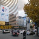 서울구경 이미지
