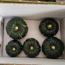 윤희농장 이미지