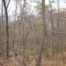 운림중학교 이미지