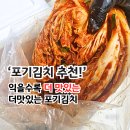 익을수록 감칠맛 살아나는 경상도식 더맛있는 포기김치 후기
