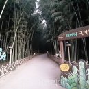 혁신도시명품음식거리 이미지