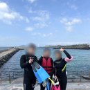 제주마중 판포 | 제주도 5월 스노쿨링 명소 판포포구 수영 장비대여 주차 'IGH오션레포츠' (260522 수영후기)