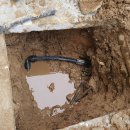 경주초등학교 이미지