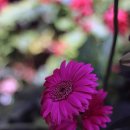 뽀빠이마취통증의학과의원 이미지