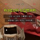 핸드드립전문가과정 | 매일 마셔도 질리지 않는 파크로스터 드립백커피, 스페셜티 취향대로 고르는 커피티백 후기