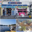 별미회식당 | 거제도 성포회식당 후기 - 코끼리코 닮은 왕우럭조개