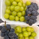 현승태권도장 이미지