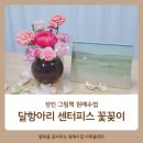 행복한 가족을 위한 그림책 힐링 원예 | 성인 그림책 원예수업 힐링테라피 달항아리 센터피스 단체수업 특강