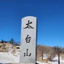 제당골 | 태백산