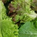 축복농장 이미지