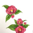 수채 일러스트 이미지