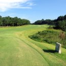 경주신라컨트리클럽 이미지