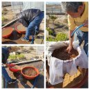 은재농원 이미지