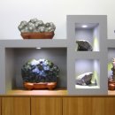 청송수석꽃돌박물관 이미지