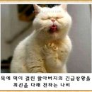 (유머) 연기대상! 이미지