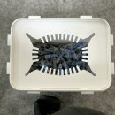 SK 하이스텍(주)부속의원 | 예방접종 간호사 알바 후기