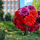 정동길 멋진빌딩 &amp; 서울역고가도로 이미지