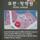 서울대공원 테마가든(장미원,작약원) 이미지